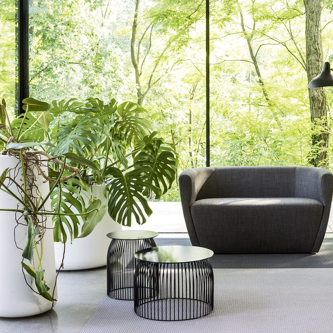 Turi Turi Coffee Table